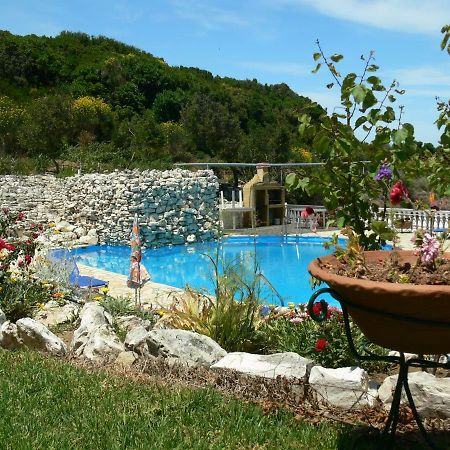 Angela Apartments Pool Gardens&Sea Views Agios Stefanos Avliotes  Buitenkant foto
