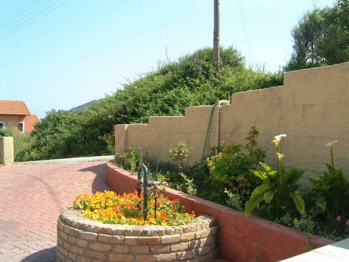 Angela Apartments Pool Gardens&Sea Views Agios Stefanos Avliotes  Buitenkant foto